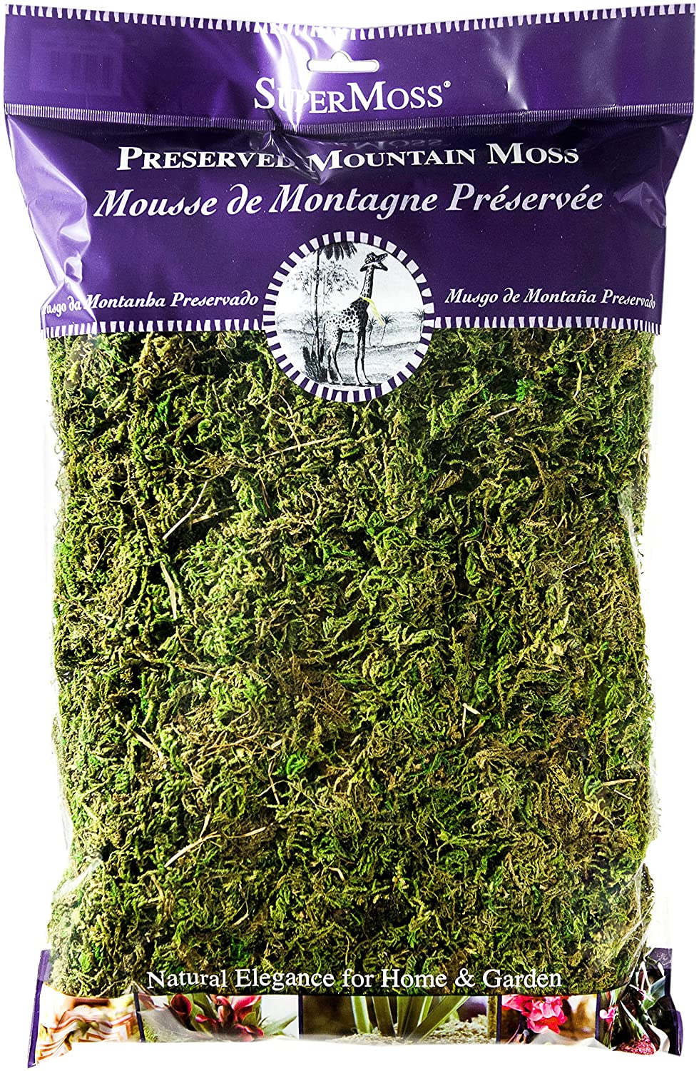 Mountain Moss 2oz - Forest Green - Mini Fairy Garden World