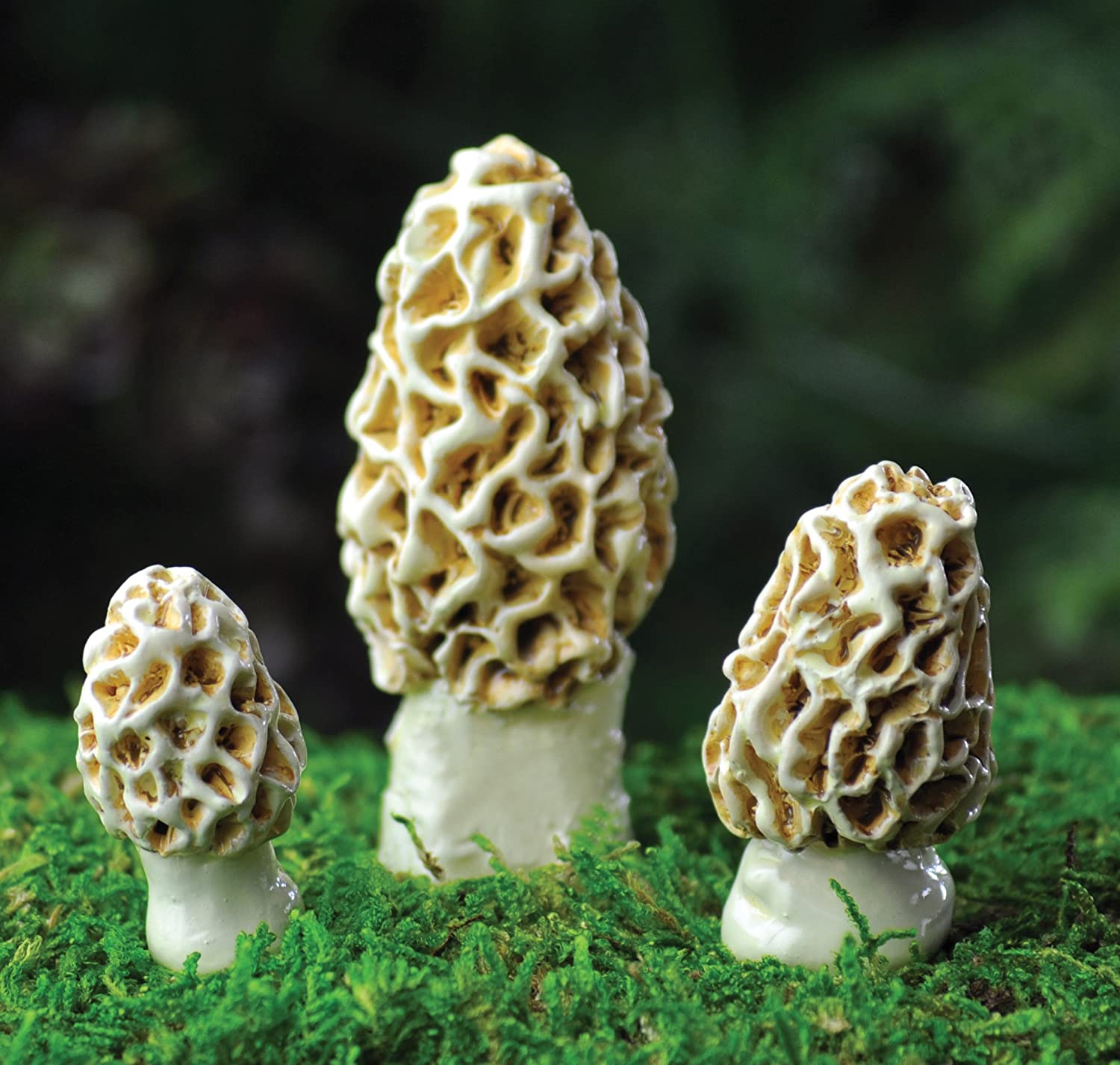 Morel Mushrooms, Mini Mushrooms, Fairy Garden Mushrooms - Mini Fairy Garden World