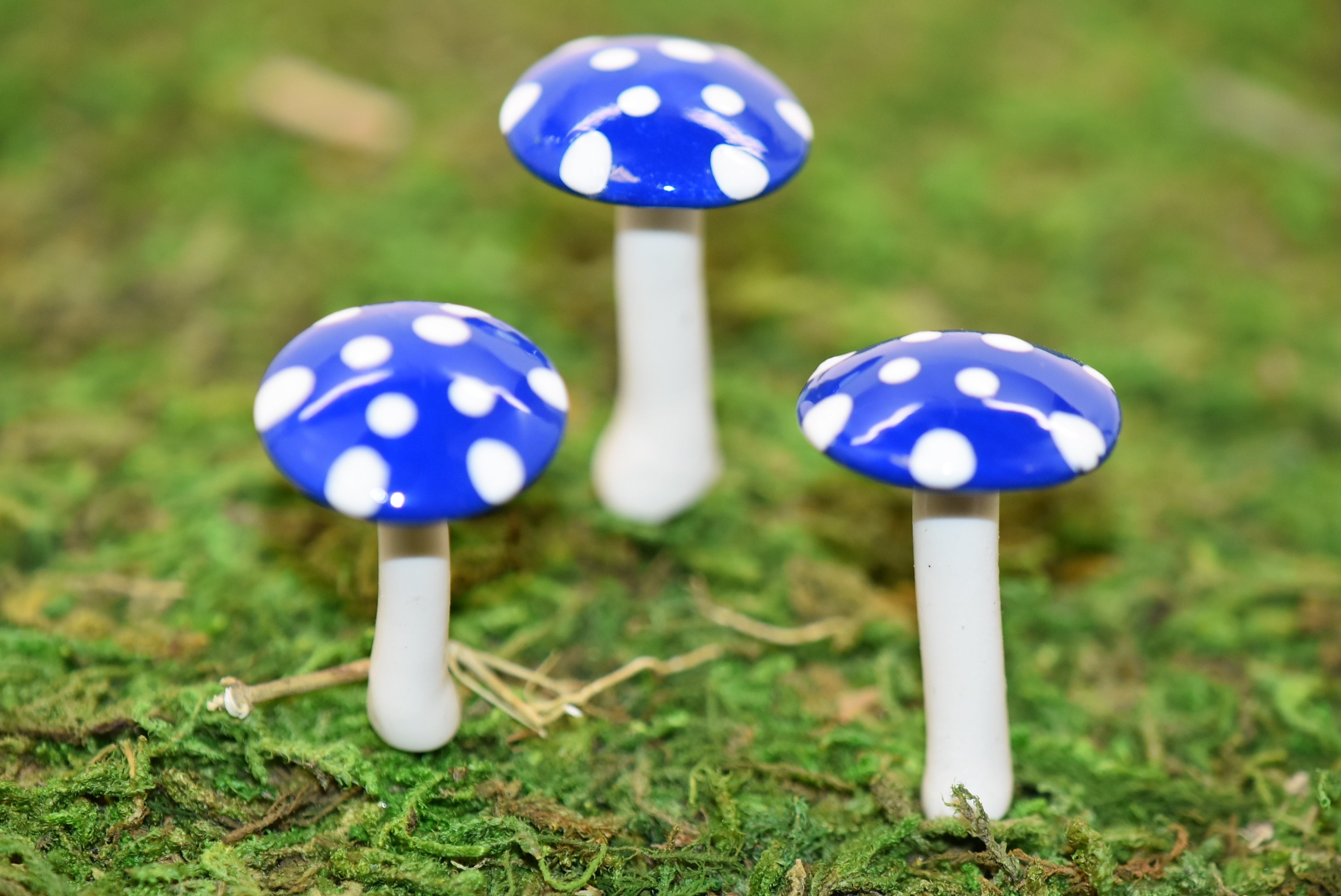 Mini Glossy Mushrooms - Set of 3 - Blue - Mini Fairy Garden World