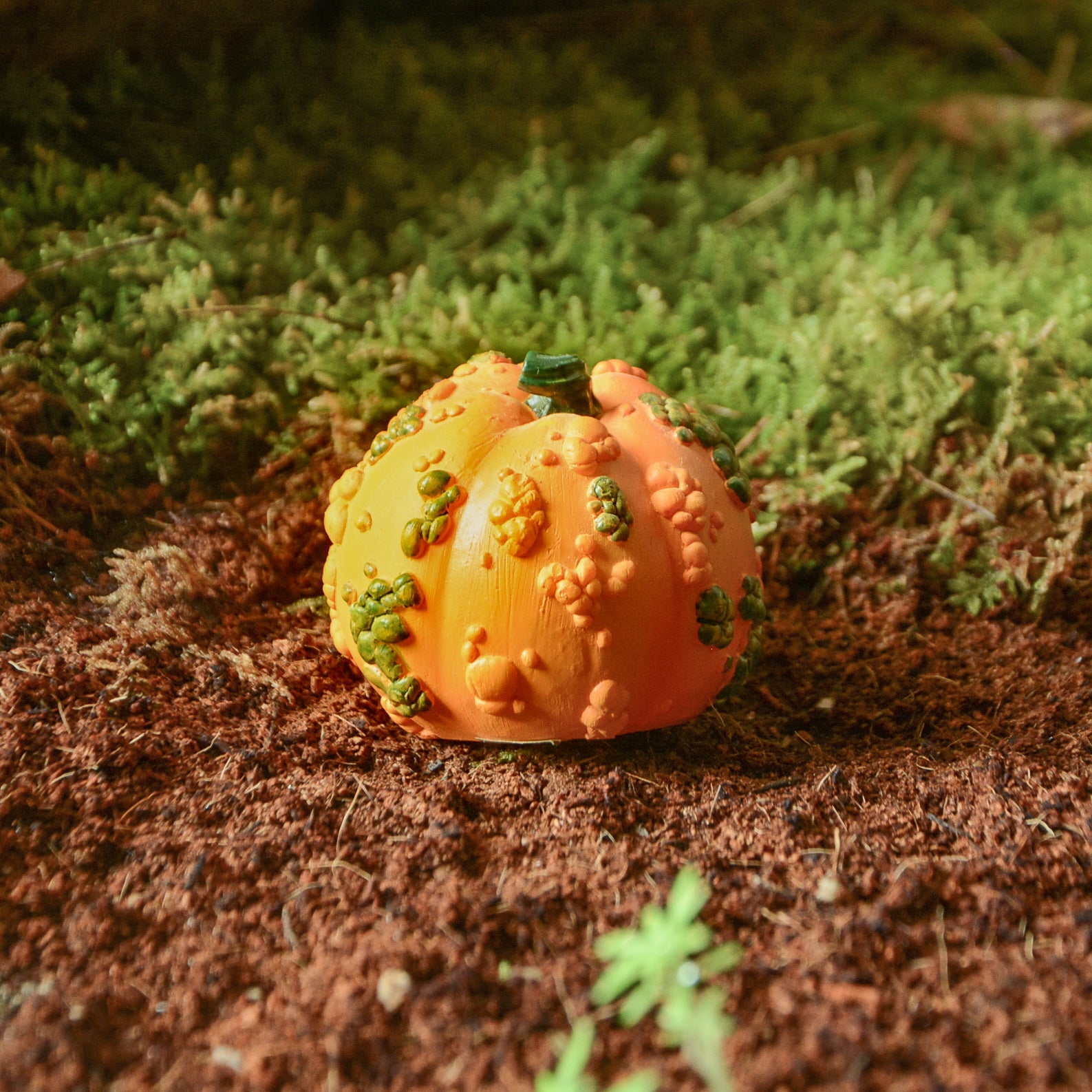 Mini Warty Pumpkin, Fairy Garden Pumpkin, Mini Halloween Pumpkin