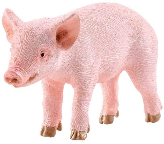 Mini Piglet, Mini Farm Pig, Miniature Pig - Mini Fairy Garden World