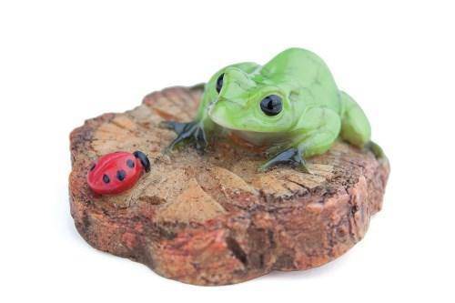 Frog Ladybug Chip, Mini Frog, Fairy Garden Frog - Mini Fairy Garden World