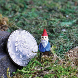 Micro Mini Gnome Pick, Mini Gnome, Miniature Gnome, Tiny Gnome, Fairy Garden Gnome - Mini Fairy Garden World