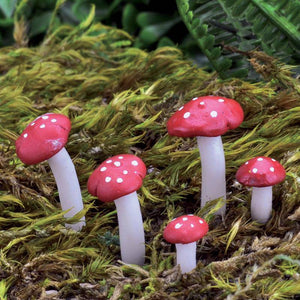 Micro Mini Red Mushrooms, Fairy Garden Mushrooms, Mini Red Mushrooms - Mini Fairy Garden World
