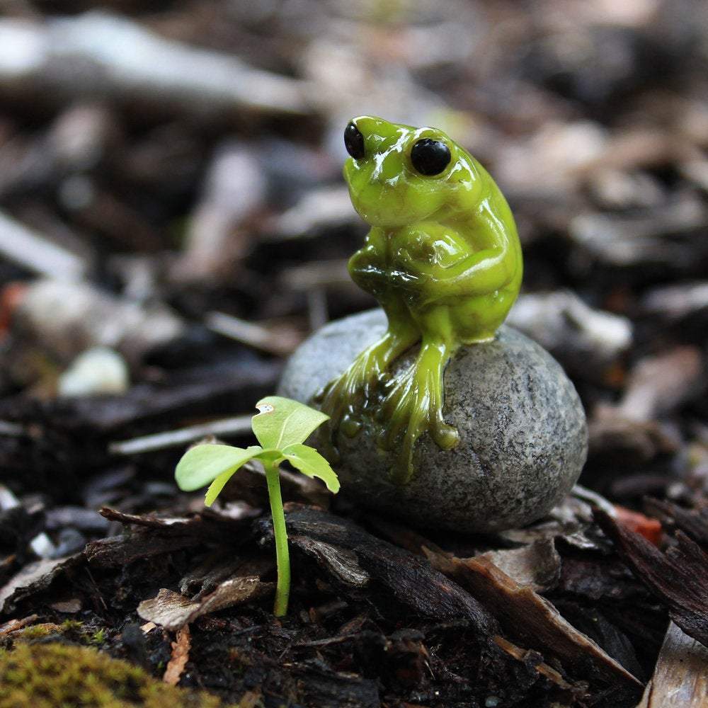 Cute Frog Knees Bent On Stone, Mini Frog, Miniature Frog, Frog Sitting, Frog Sitting Stone, Fairy Garden Frog, Fairy Garden - Mini Fairy Garden World