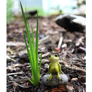 Cute Frog Sitting On Stone, Fairy Garden, Mini Frog, Fairy Frog - Mini Fairy Garden World