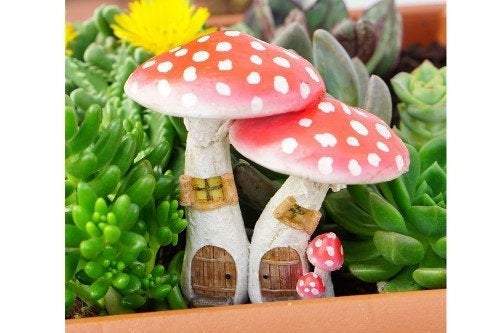 Cute Red Mushroom Fairy House, Fairy Garden, Fairy Home, Fairy Cottage - Mini Fairy Garden World