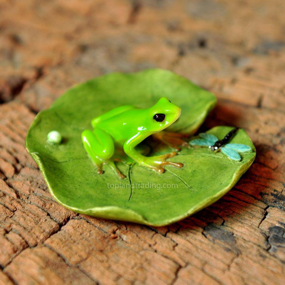 Frog and Dragonfly on Lotus Leaf, Fairy Garden, Mini Frog - Mini Fairy Garden World