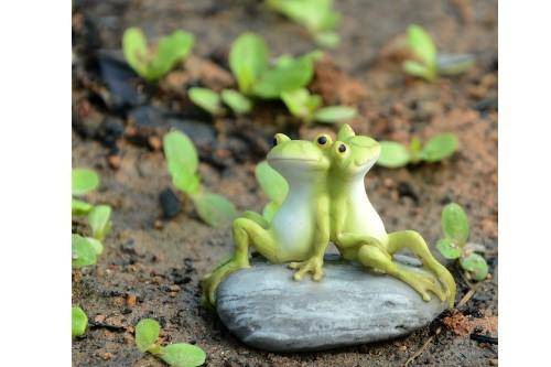 Frog Friends On Stone, Fairy Garden, Mini Frog, Tiny Frog - Mini Fairy Garden World