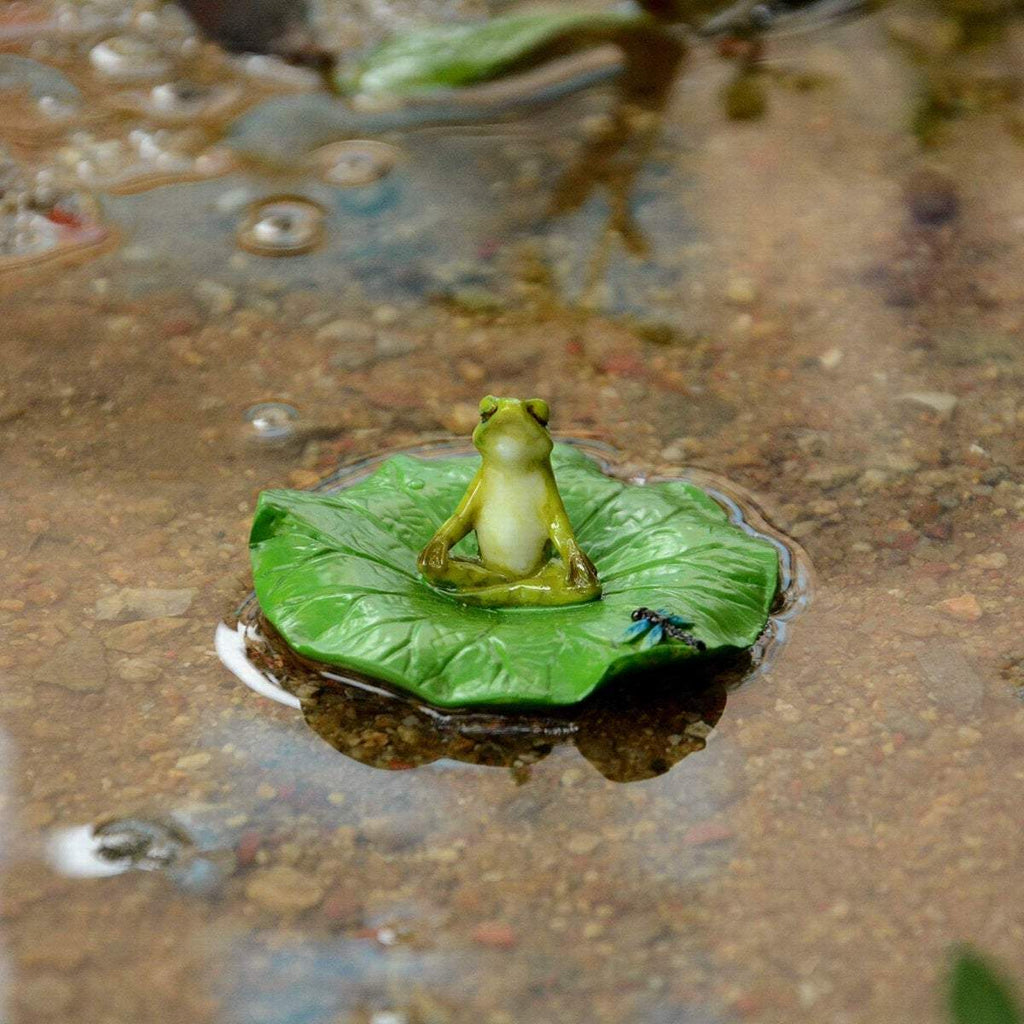 Frog Meditating On Lotus Leaf With Dragonfly, Fairy Garden Frog, Terrarium Frog, Mini Frog, Aquarium Frog, Frog Figurine, Fairy Garden - Mini Fairy Garden World
