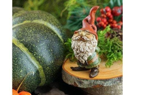 Garden Gnome, Fairy Garden, Cute, Gnome, Mini Gnome - Mini Fairy Garden World