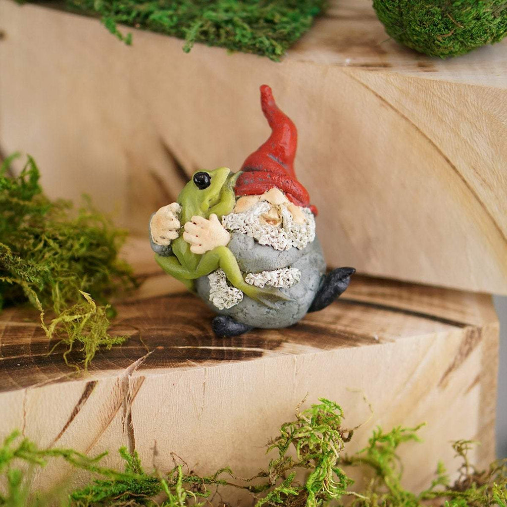 Garden Gnome Hugging Frog, Fairy Garden, Fairy Gnome, Mini Gnome, Miniature Gnome - Mini Fairy Garden World