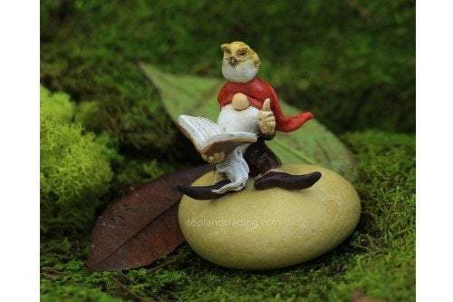 Garden Gnome Reading Book With Owl, Fairy Garden, Fairy Garden Gnome, Mini Gnome - Mini Fairy Garden World