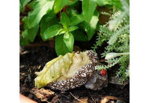 Hedgehog Sleeping with Leaf Blanket, Fairy Garden, Mini Hedgehog, Miniature Hedgehog - Mini Fairy Garden World
