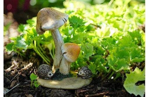 Hedgehogs with Mushrooms - Miniature Supplies Accessories Dollhouse, Fairy Garden - Mini Fairy Garden World