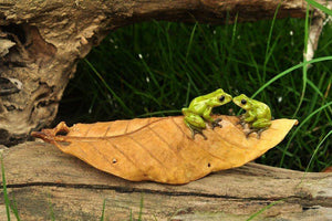 Kissing Frogs On Leaf, Fairy Garden, Fairy Frogs, Miniature Frogs - Mini Fairy Garden World
