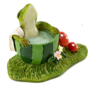 Mini Frog Soaking in The Tub, Fairy Garden, Mini Frog, Miniature Frog - Mini Fairy Garden World