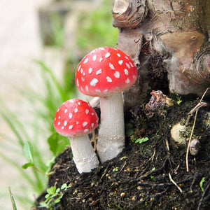Red Fairy Mushrooms, Fairy Garden, Mini Mushrooms, Dollhouse Mushrooms - Mini Fairy Garden World