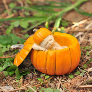 Sleeping Fairy Baby In Orange Pumpkin, Fairy Garden, Sleeping Fairy Baby - Mini Fairy Garden World