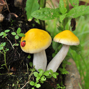 Yellow Fairy Mushrooms, Fairy Garden, Mini Mushrooms, Dollhouse Mushrooms - Mini Fairy Garden World