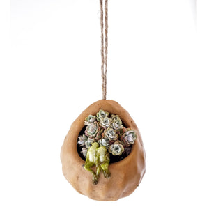 Frog Lovers Hanging Succulent Planter - Mini Fairy Garden World