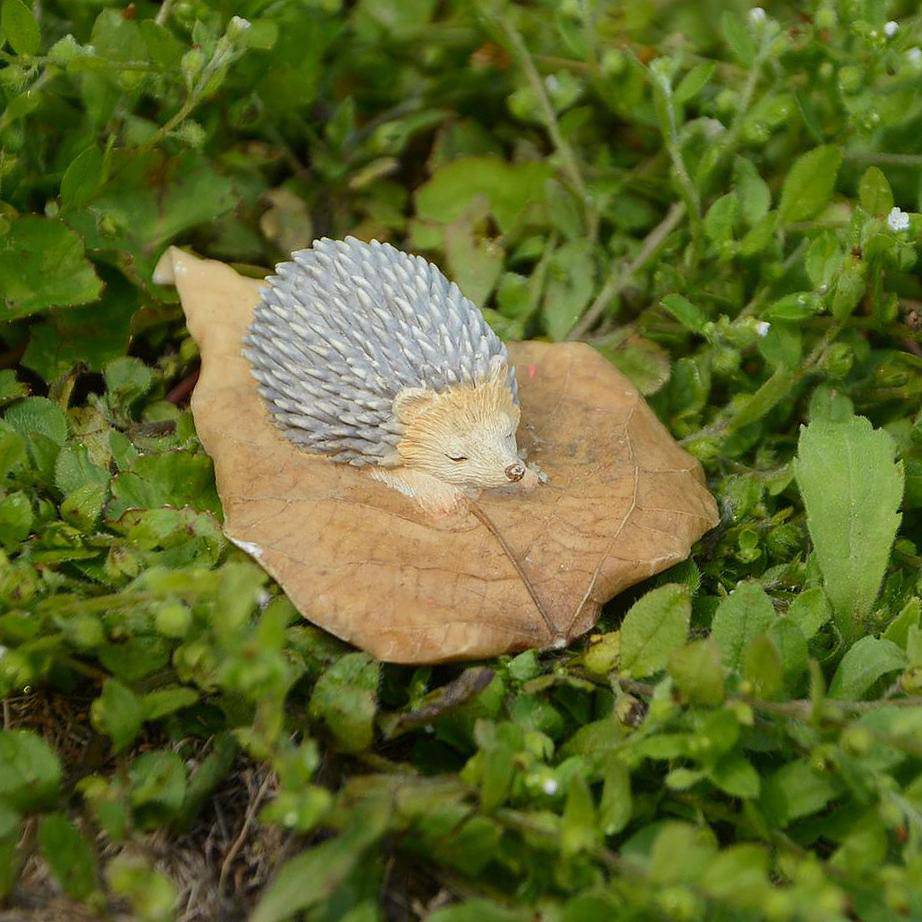 Hedgehog Sleeping On Leaf, Mini Hedgehog, Fairy Garden Hedgehog - Mini Fairy Garden World