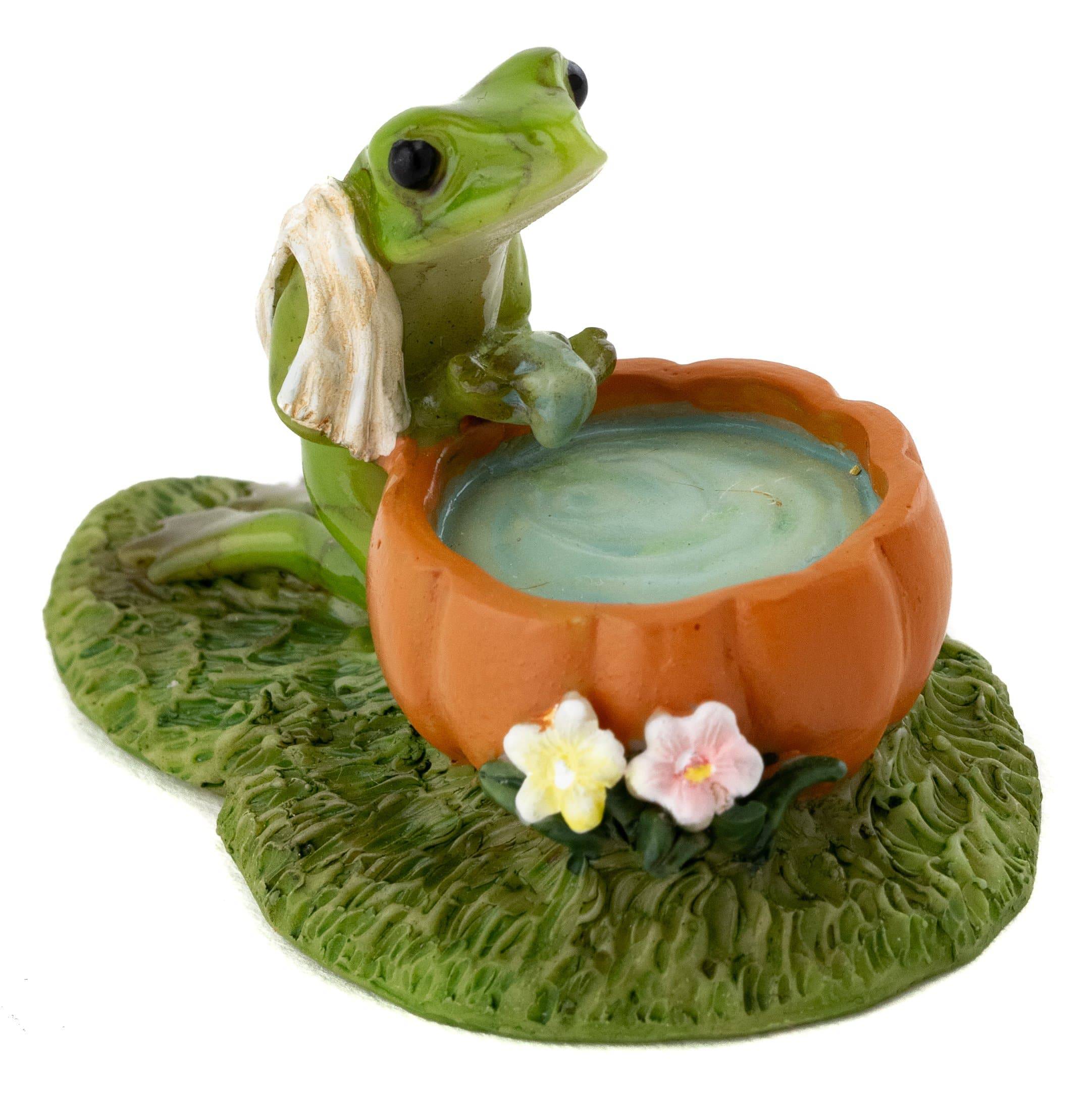 Mini Frog Washing His Face, Miniature Frog, Fairy Garden Frog - Mini Fairy Garden World